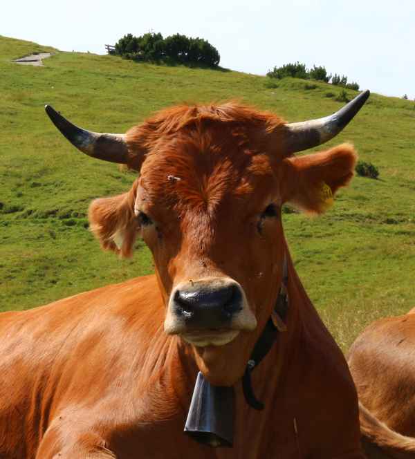 Bitte recht freundlich:-)