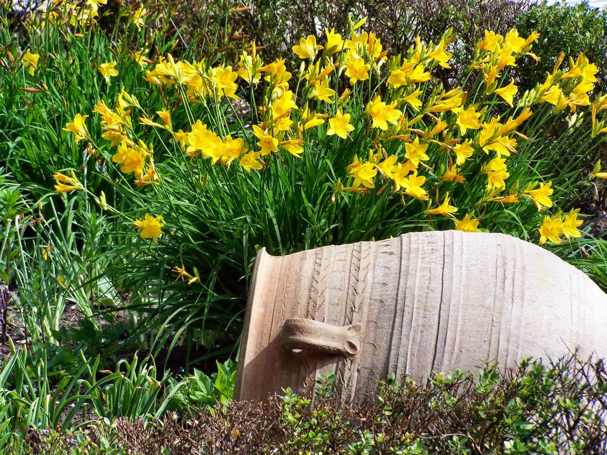 Antike Vase vor Blumen