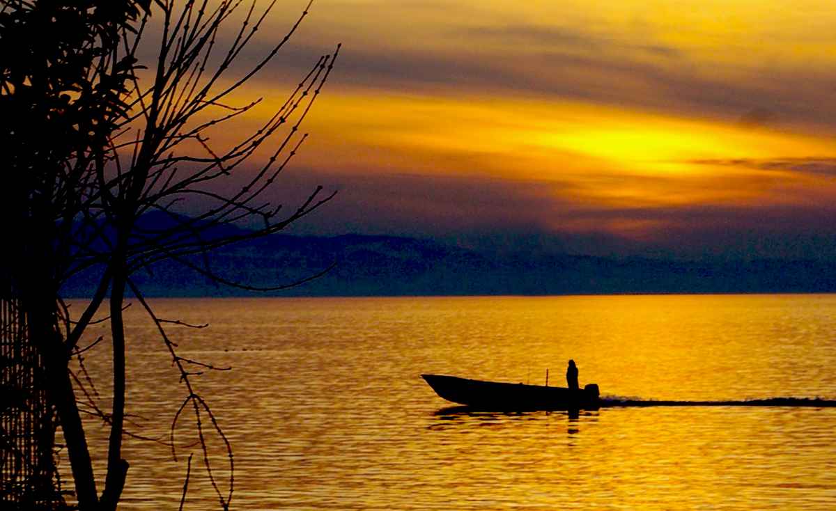 Ein Fischer auf dem Bodensee