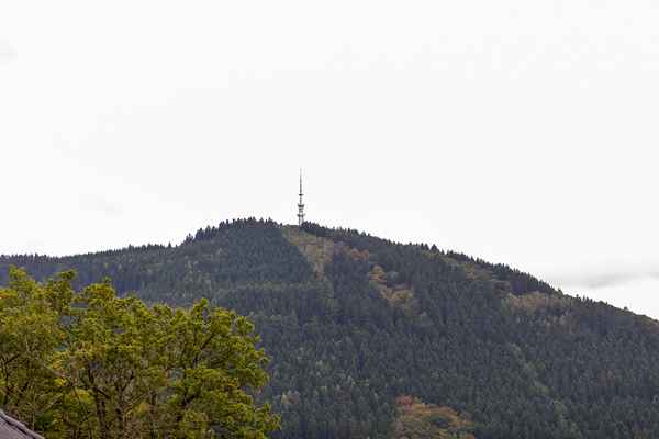 Sauerland Natur