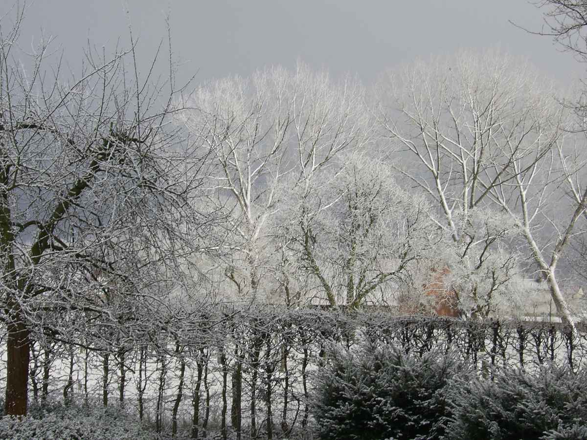 Wintereinbruch im März 2008