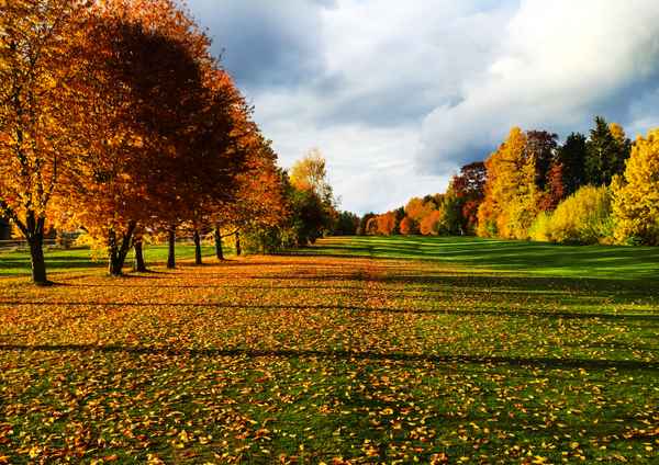 Herbstfarben mit Schräglicht