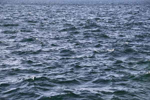 Wasser 28