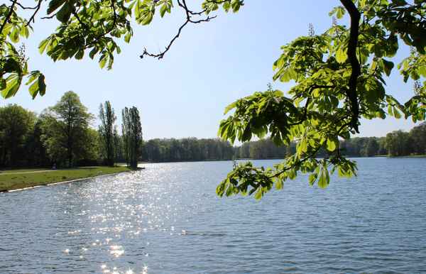 SONNTAGSSPAZIERGANG V