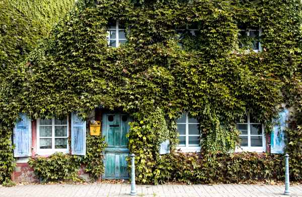 altes Haus