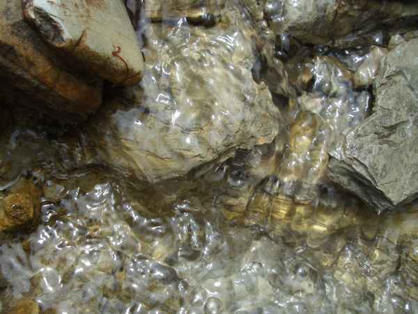Wasser- Wunder der Natur