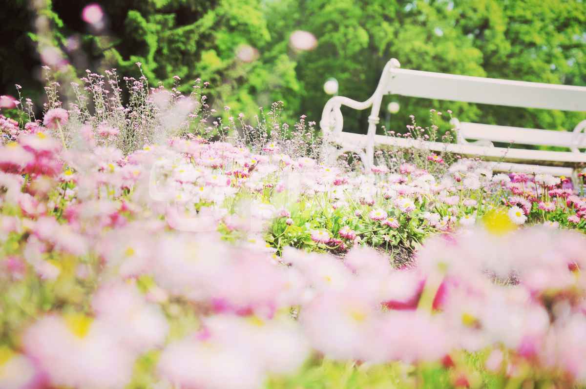 Blumige Idylle