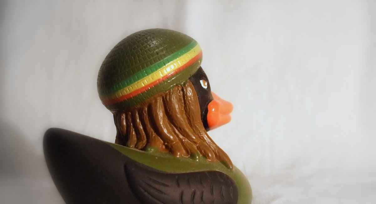 rastaduck 8