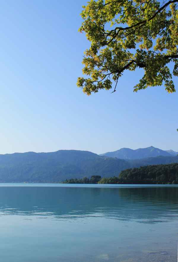 Ein Sommermorgen am See 03