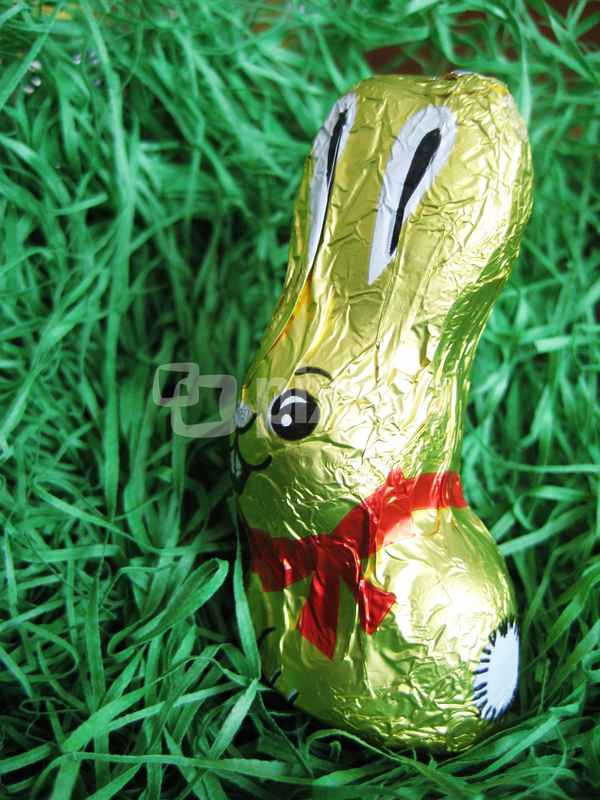 Ein Auge riskier' ich.....