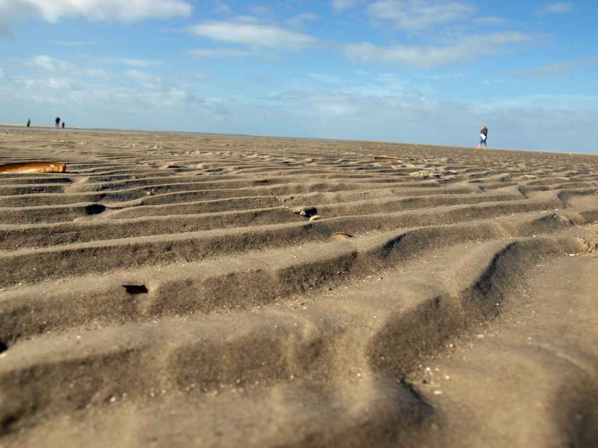Spaziergang auf der Sandbank