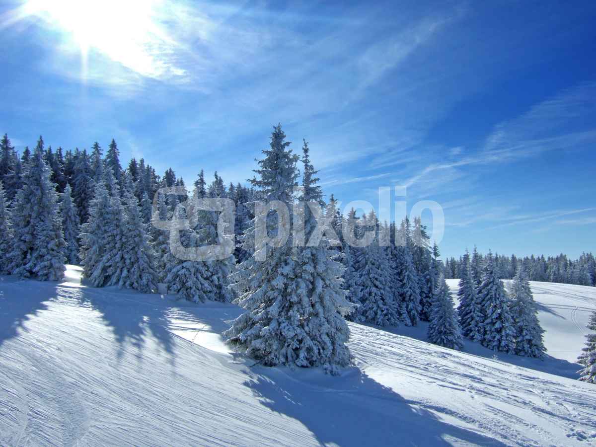 Sonniger Wintertraum