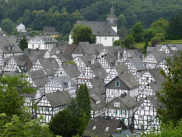 Freudenberg 2