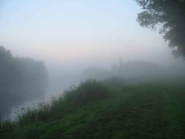 Morgennebel