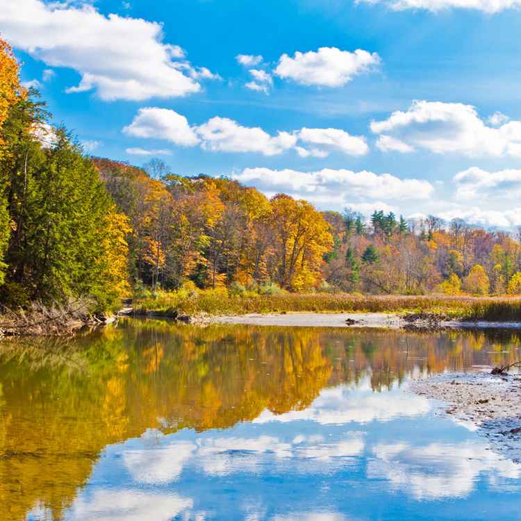 Herbstpracht