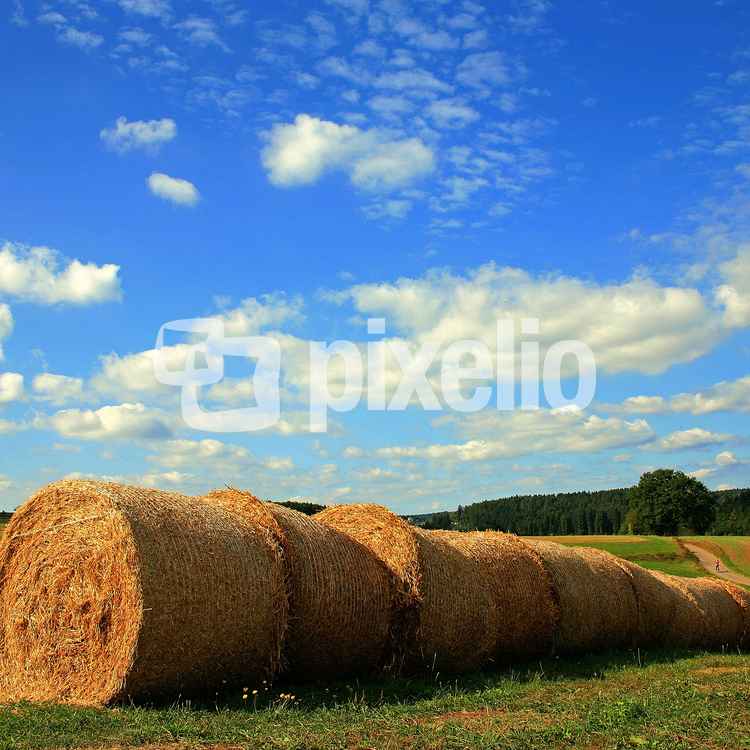 Herbstsonne auf den Feldern