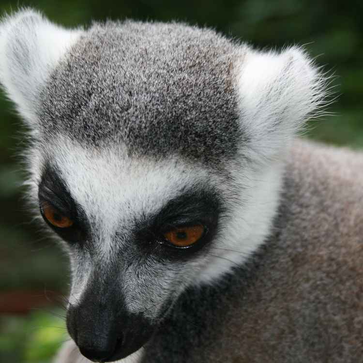 neulich im Zoo