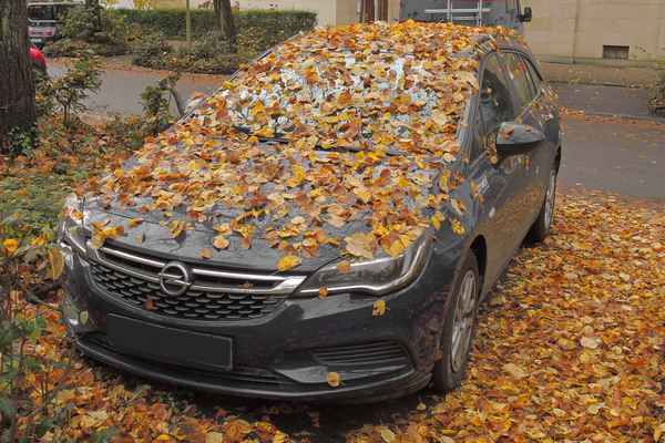 Herbst