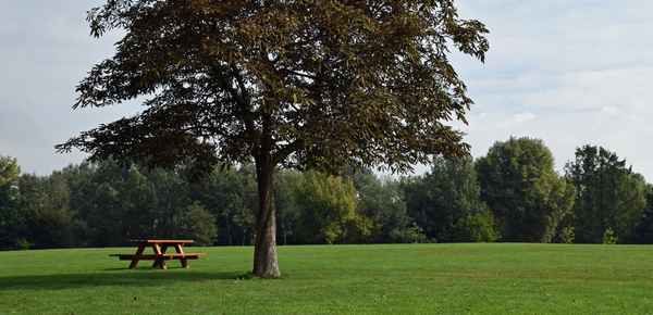 Rastplatz im grünen