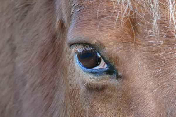 Augen-Blick mal...