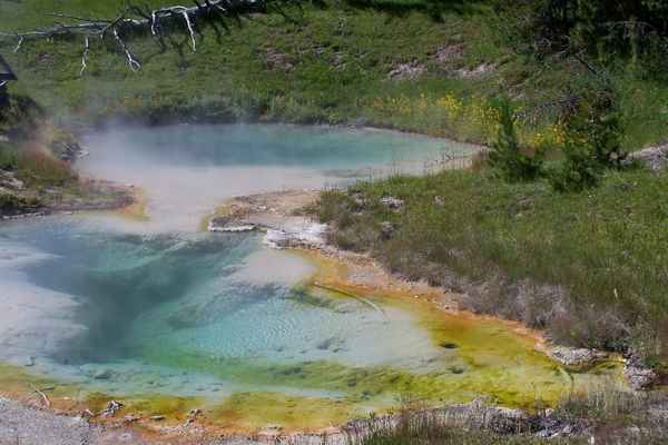 Gift + Grün  Yellowstone National Park (WY)