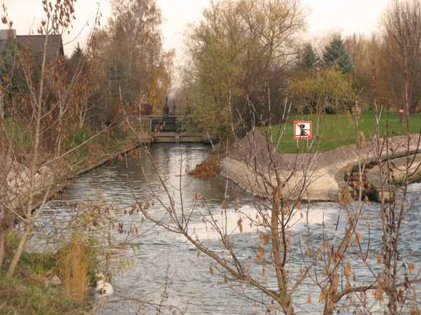 Unstrut bei Ritteburg 4