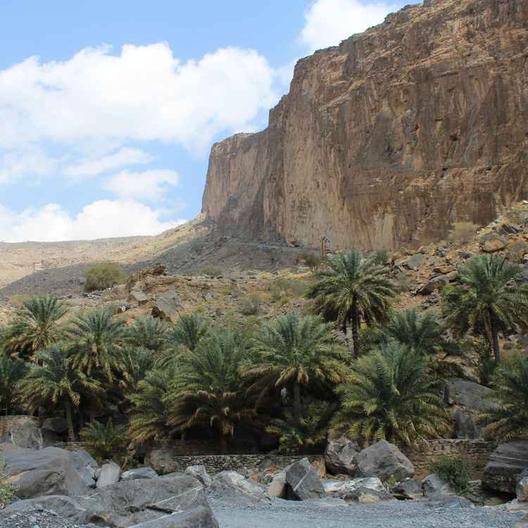 Oman - In einem Wadi