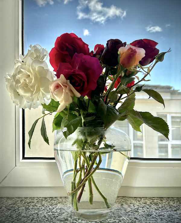 Rosenstrauß zum Muttertag