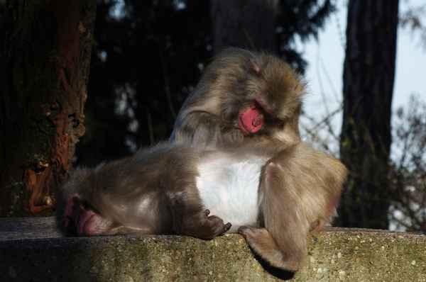 ....Ganzkörperpflege