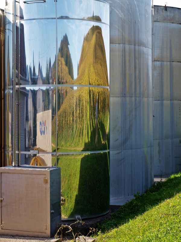 Weinsilo mit Spiegelung