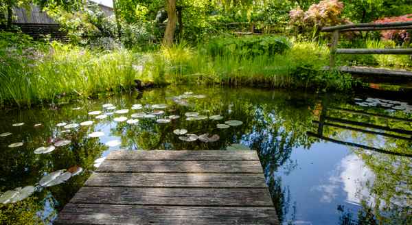 Gartentraum mit Teich und Brücke 2