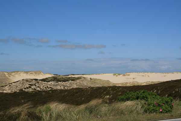 Sylt Dünen