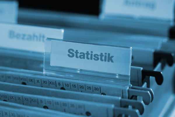 Statistik