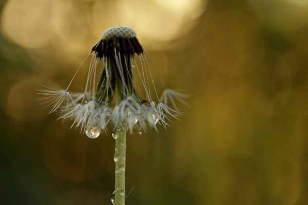 nach regen folgt sonne