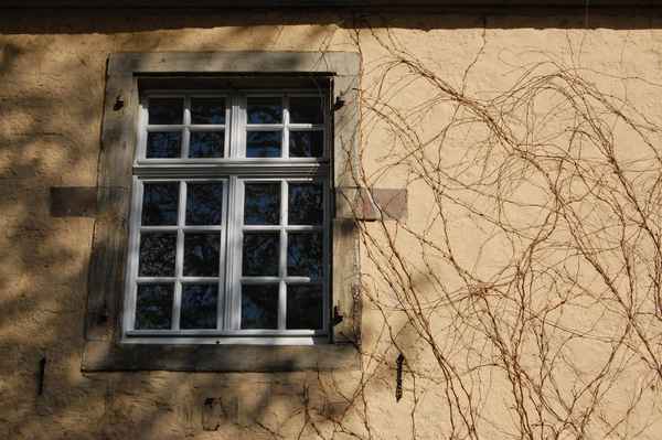 Fensterimpression #2