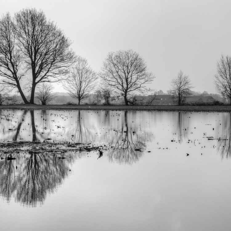 ein tag im nieselregen ( monocrom )