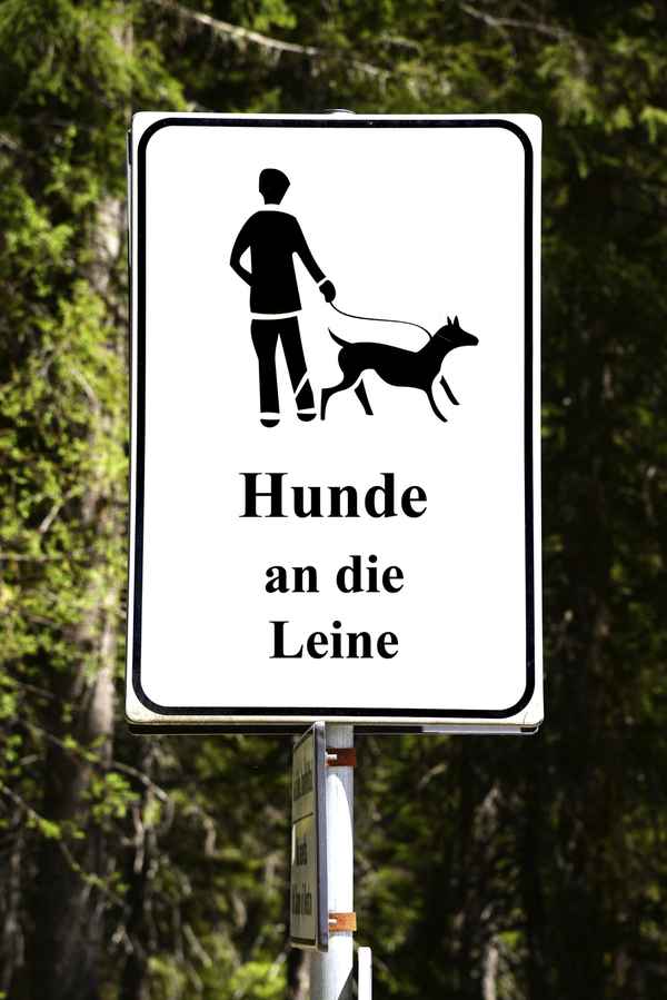 Hinweisschild für Hundehalter: Hunde an die Leine!