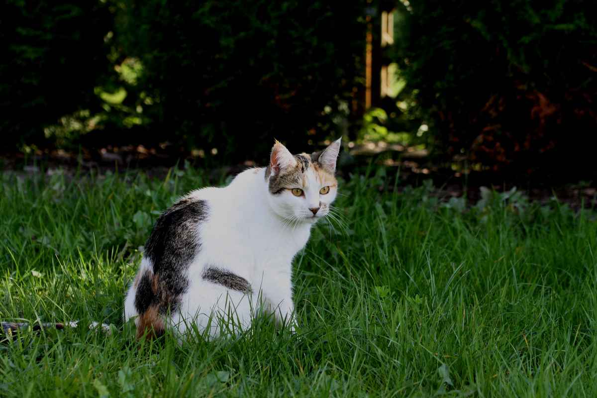 Sie hat was im Blick