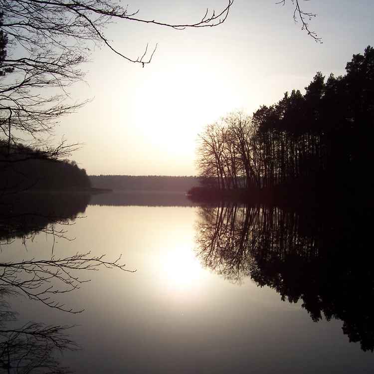 Spiegelung II