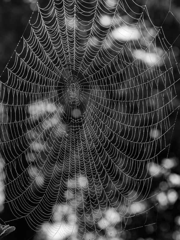 gut vernetzt - nicht besetzt