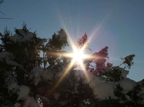 Die Sonne ist ein Stern!!!!!