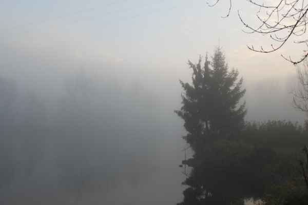 Mystische Nebellandschaft