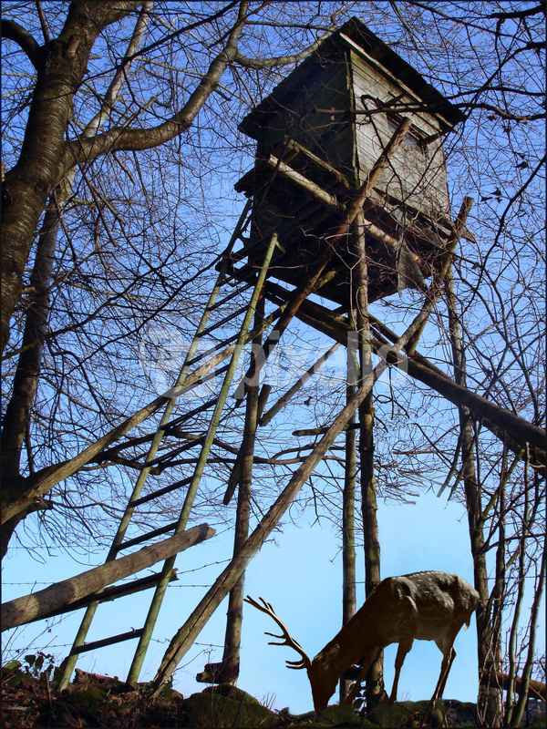 Waidmannsheil