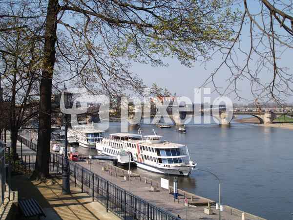 Elbufer in Dresden - Blick auf Augustusbrücke