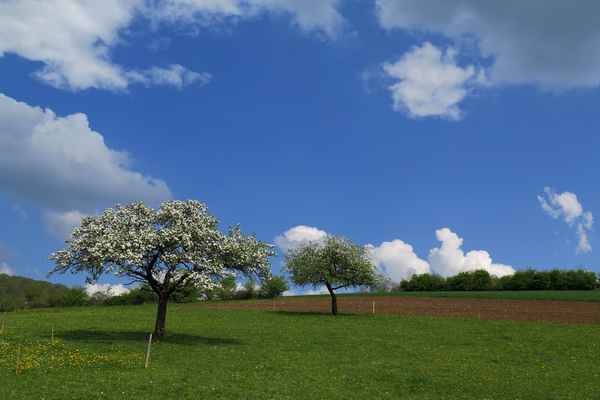Eine Landschaft zum Träumen