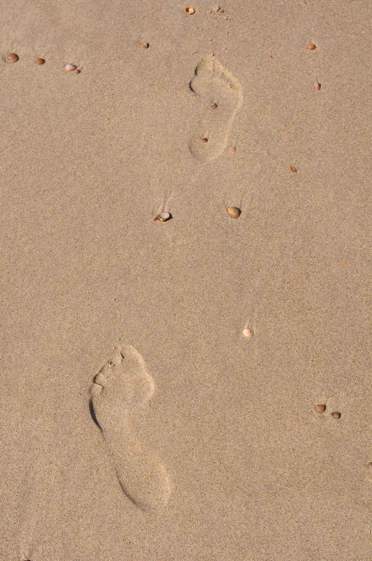 Deine Spuren im Sand 1