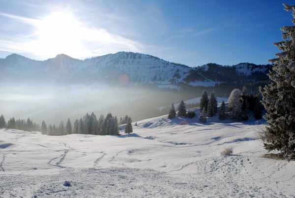 Steibis 3 - Wintersportparadies