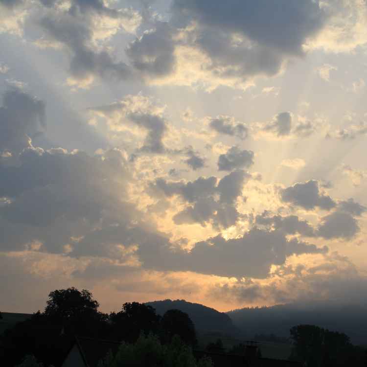 Sonnenaufgang im Schwarzwald