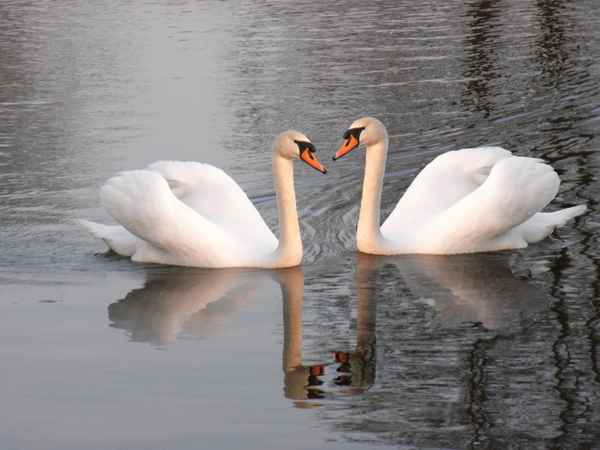 Gemeinsam statt einsam