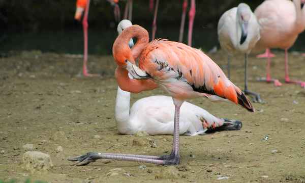 Bequemer geht es nicht!